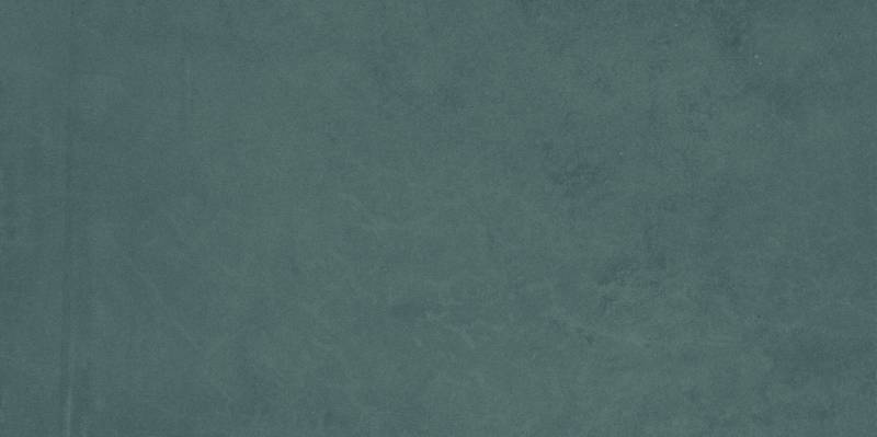 VISION COLOR FOREST GREEN